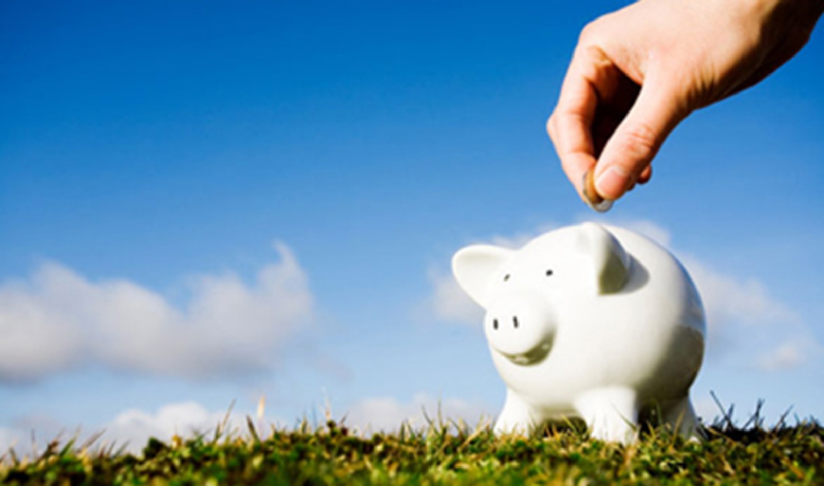 Vegan Stock Index Saves the Lives of 13 Animals For Every $1K Invested