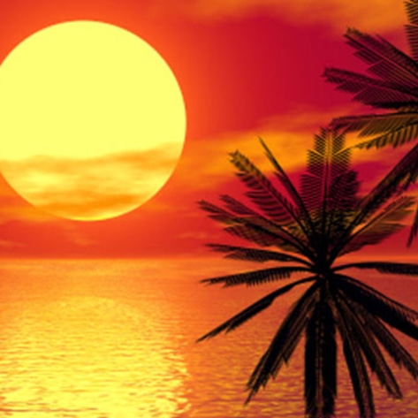 Vegan Wellness Resort Coming to Hawaii