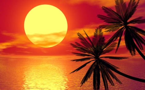Vegan Wellness Resort Coming to Hawaii
