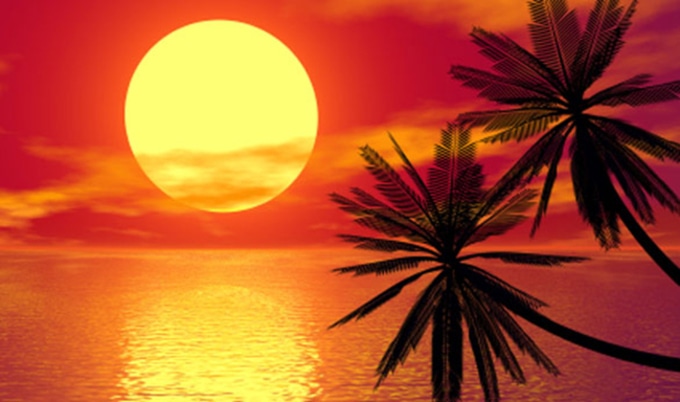 VegNewsHawaiiSunset