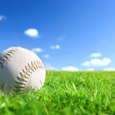 Vegan Ballpark Bites Around the US