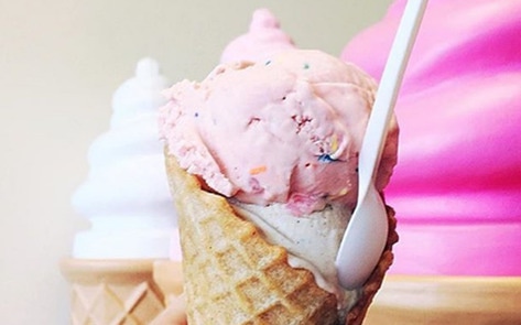 Vegan Ice Cream School is Now in Session