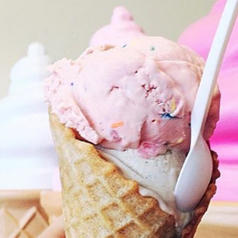 Vegan Ice Cream School is Now in Session