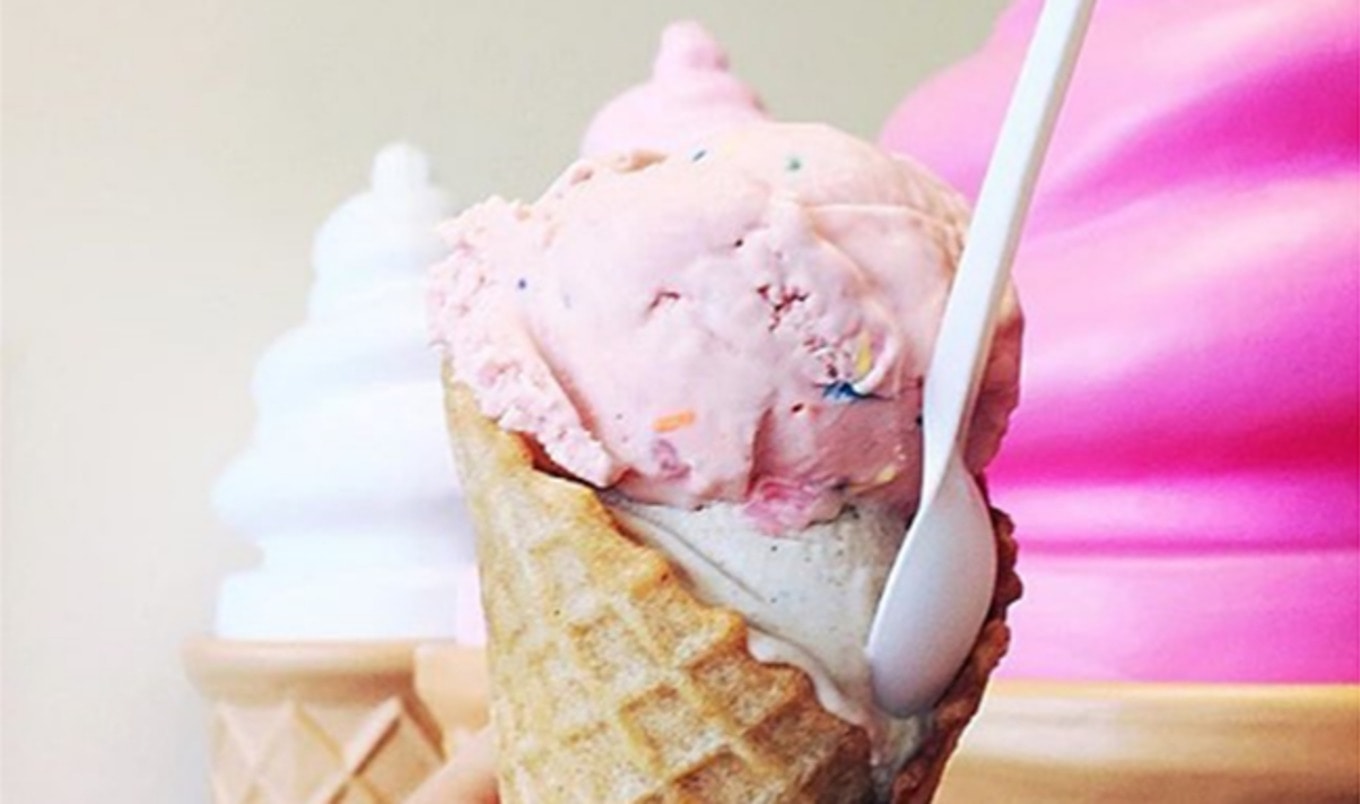 Vegan Ice Cream School is Now in Session