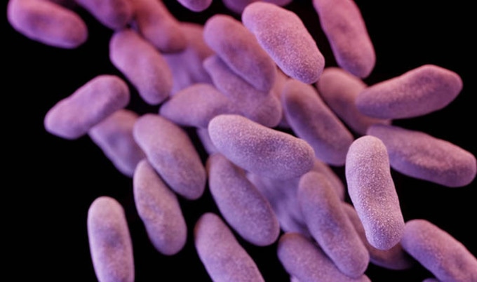 VegNewsSuperbug