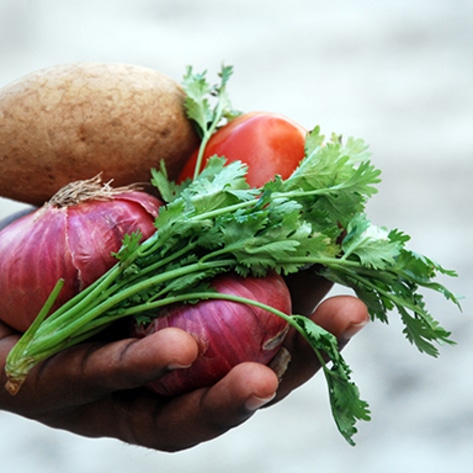 Knoxville Hosts Its First Vegan Festival
