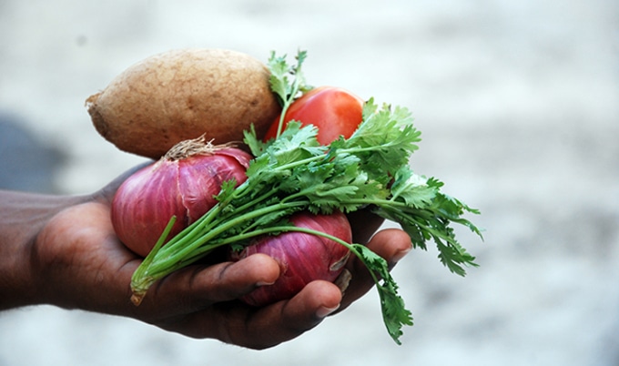VegNewsVegetableHand