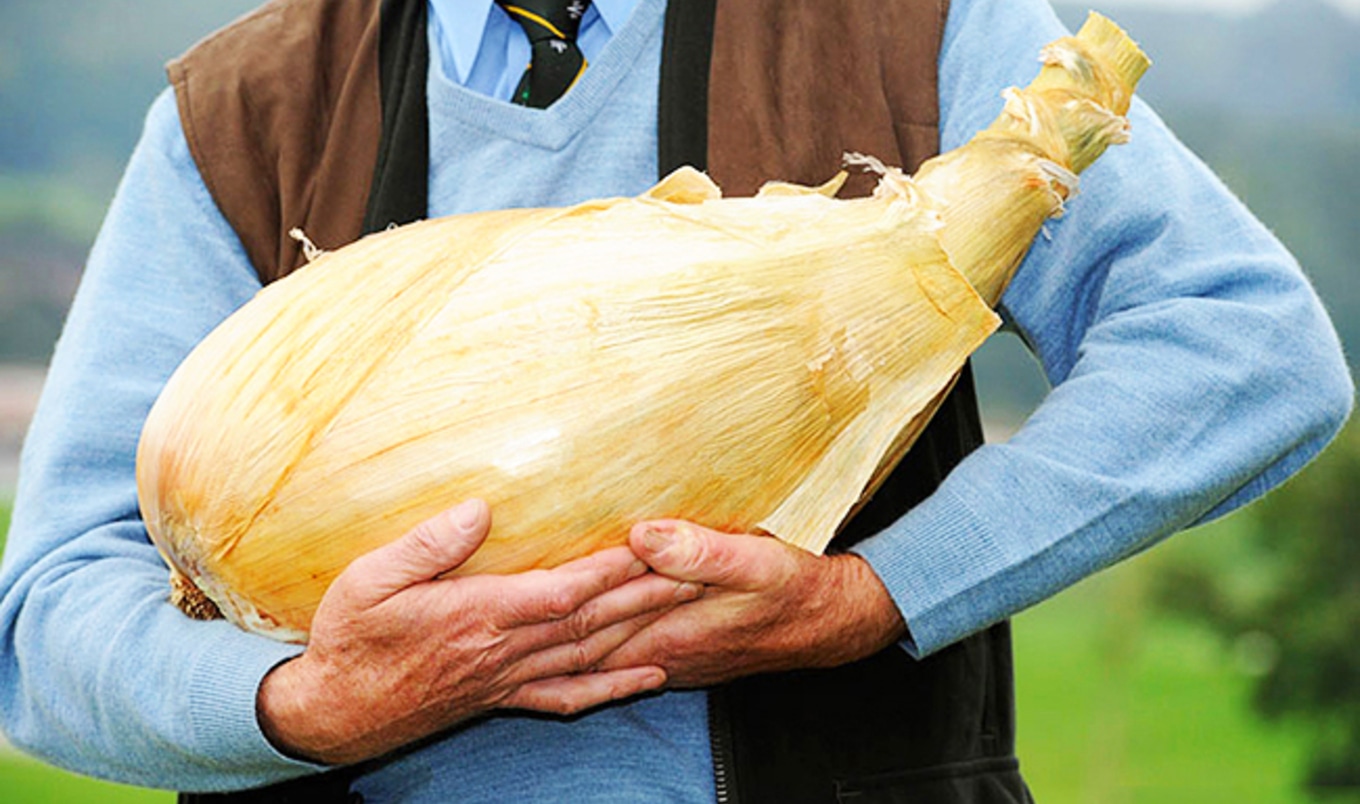 10 Giant Vegan Things We're Lovin' Lately