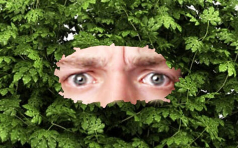 10 Celebrity Vegans Whose Holiday Parties I'll Be Crashing