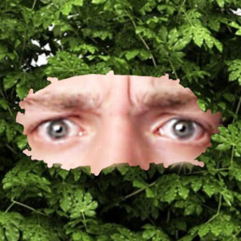 VegNews.HidinginBush