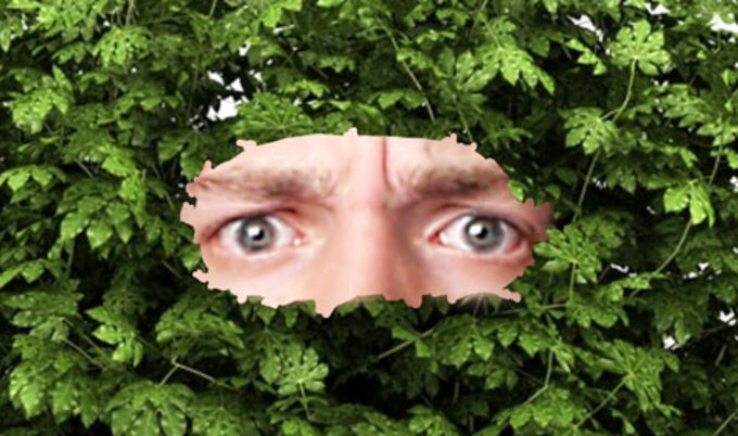 VegNews.HidinginBush