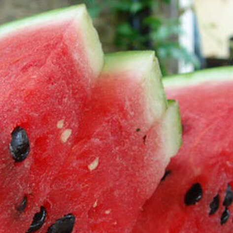 Watermelon Waste for Fuel