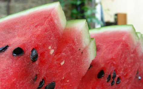 Watermelon Waste for Fuel