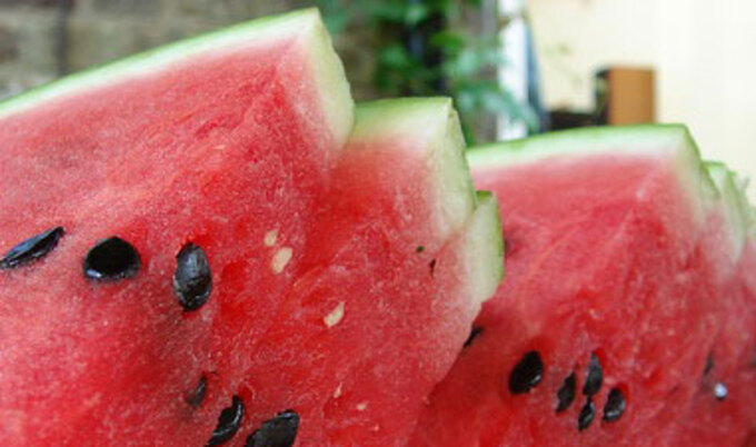 VND.watermelon