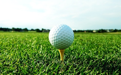 Vegan Eatery Virtual Golf Hybrid Opens in New Jersey