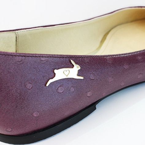 Vegan Shoe Shines Light on Cruelty of Ostrich Farms