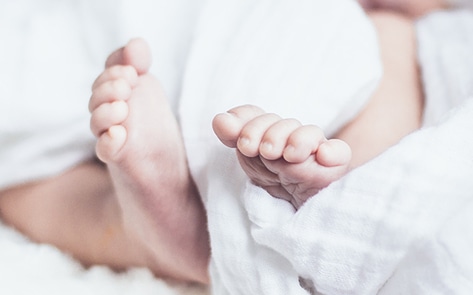 Startup Aims to Remove Cow Milk From Baby Formula