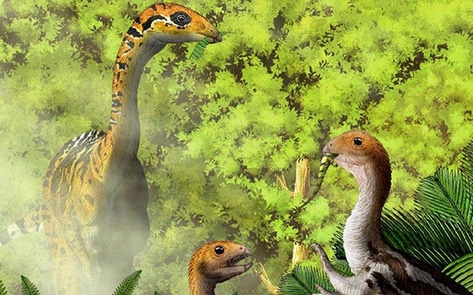 Humans to Become Herbivores Like New Dinosaur