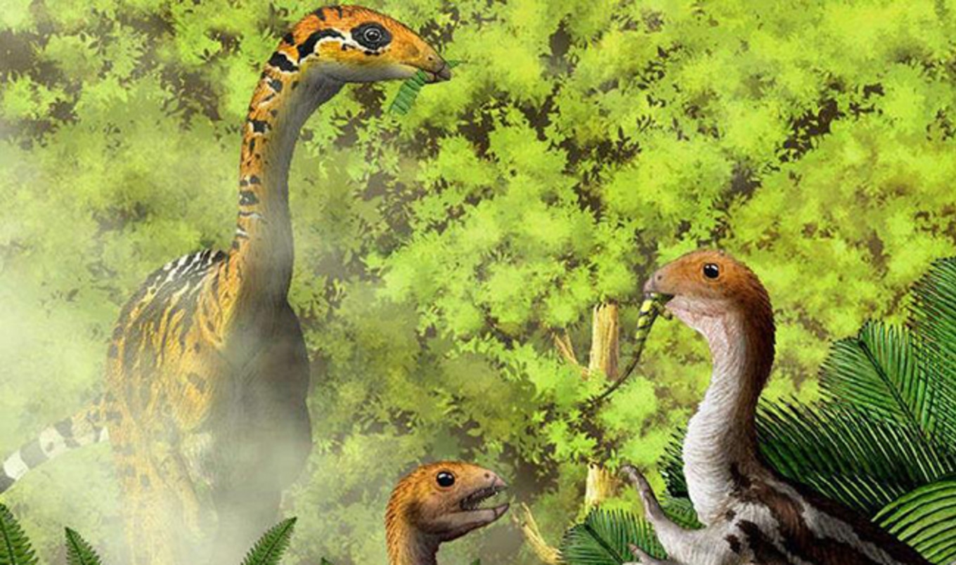 Humans to Become Herbivores Like New Dinosaur