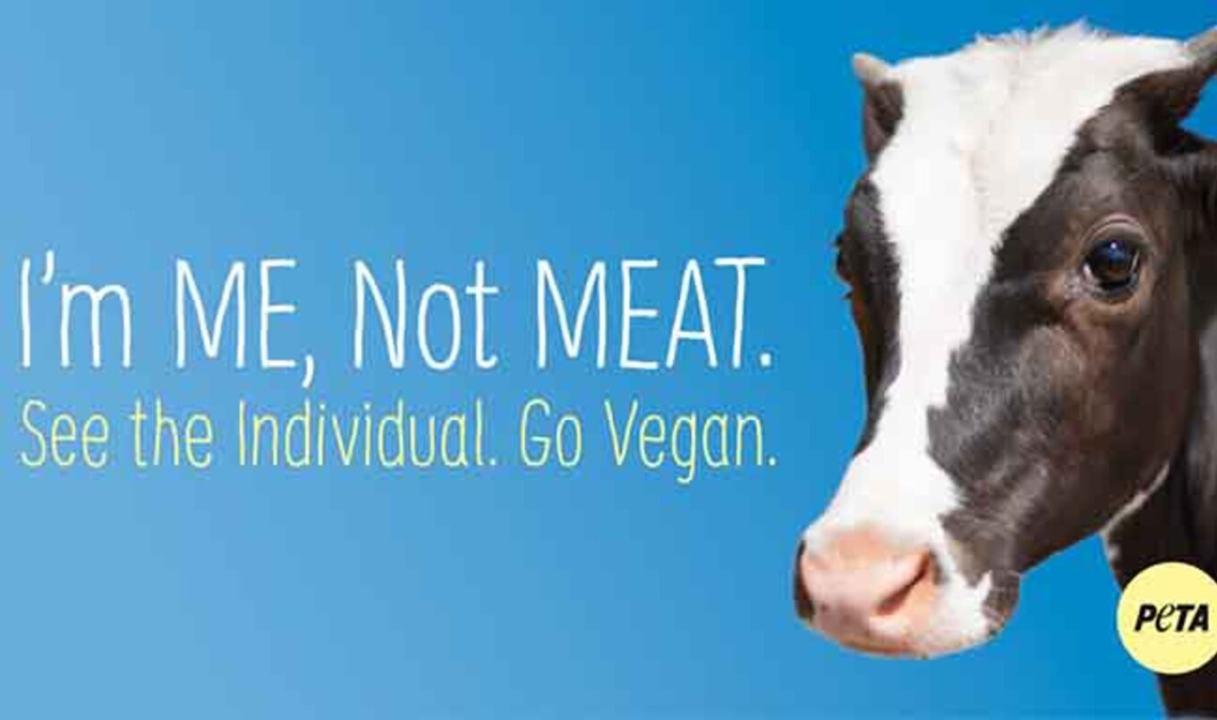 London Metro Plastered with Vegan Posters