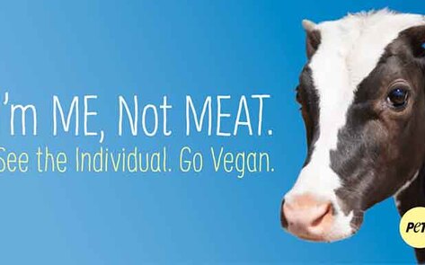 London Metro Plastered with Vegan Posters