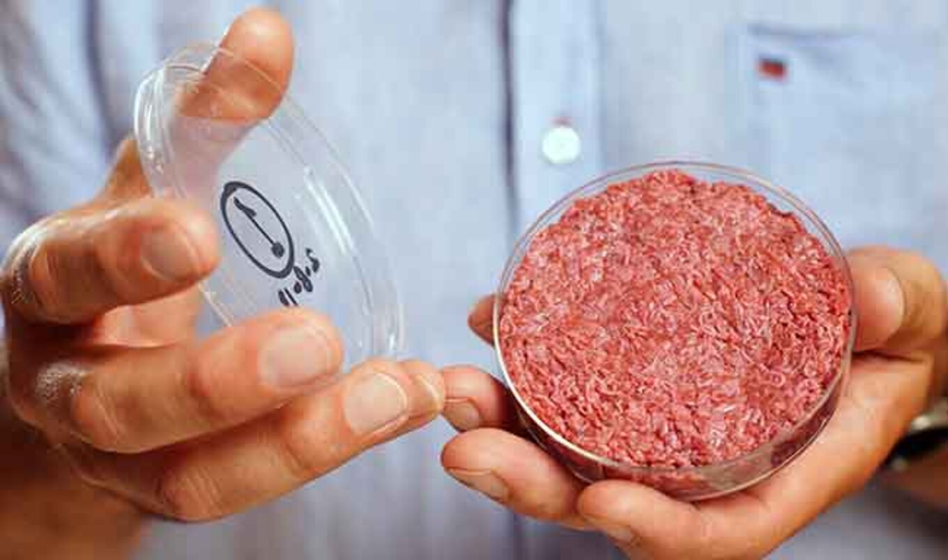 Cultured Meat To Hit India By 2025
