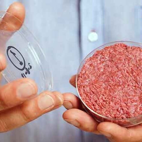 Cultured Meat To Hit India By 2025