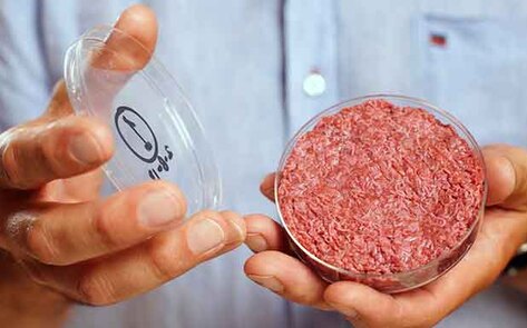 Mosa Meat to Debut Slaughter-Free Meat by 2020