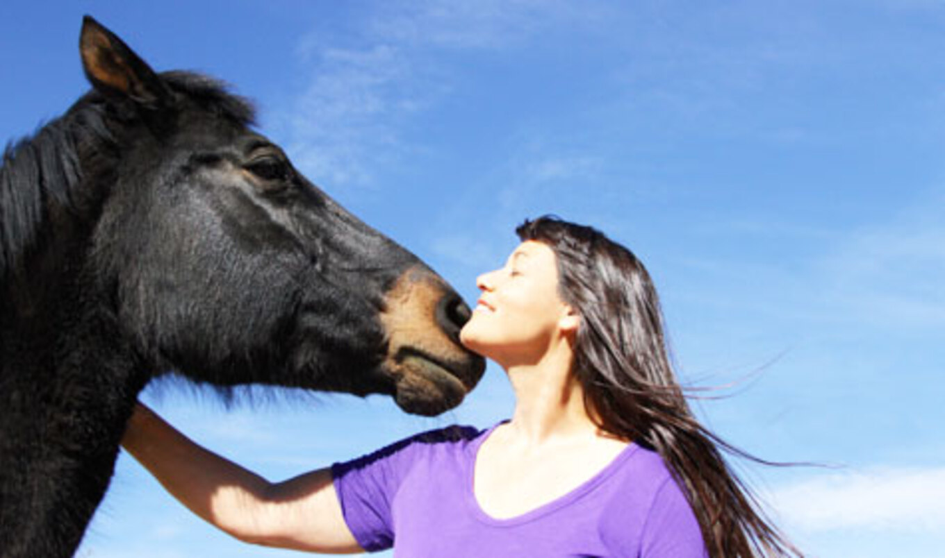 The Ups and Downs of Running an Animal Sanctuary