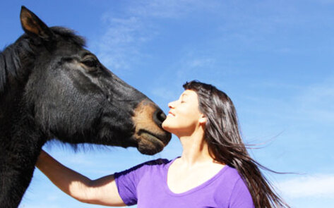 The Ups and Downs of Running an Animal Sanctuary