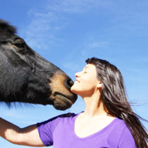 The Ups and Downs of Running an Animal Sanctuary
