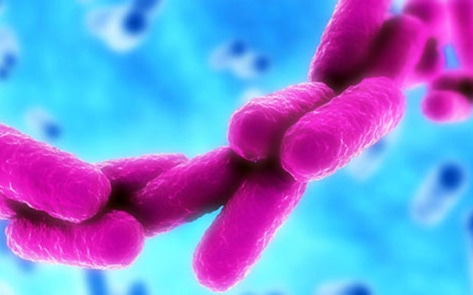 Red Meat Linked to Inflamed Gut Disease