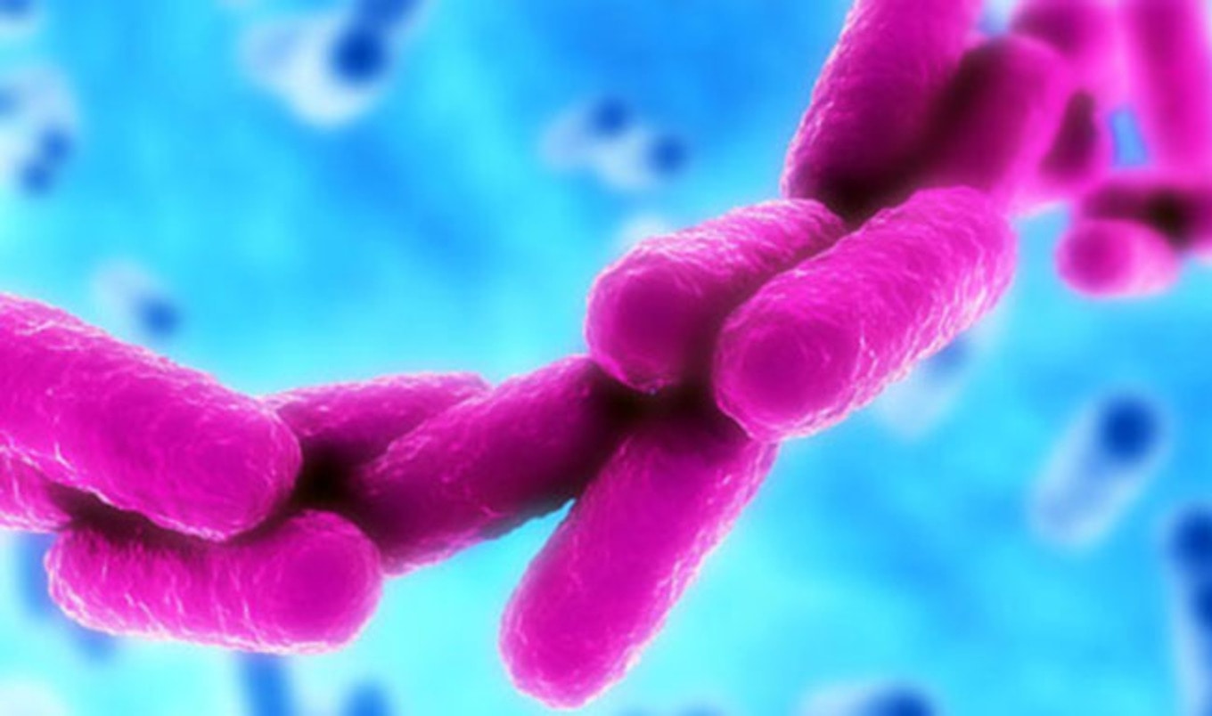 "Superbug" Found in 40 Percent of Danish Pork