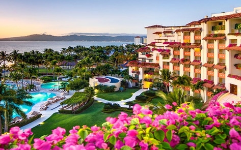 Mexican Resort Adopts 24-Hour Vegan Menu