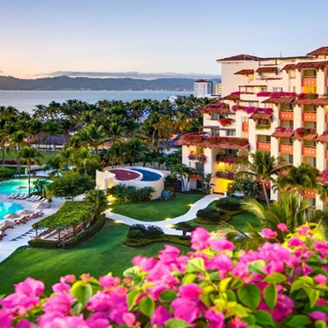 Mexican Resort Adopts 24-Hour Vegan Menu